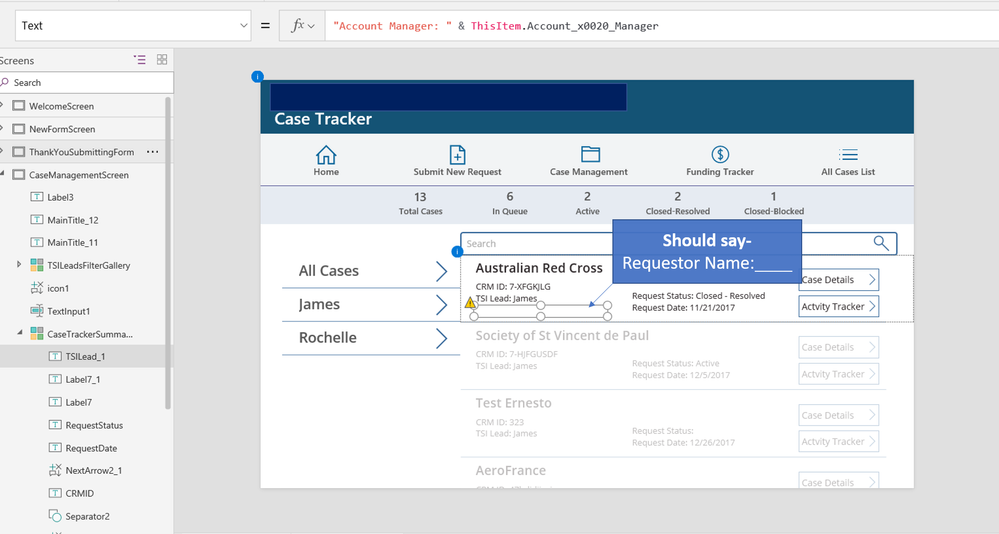 Step 2 does not work as well. It creates an error message where the "Requestor Name" field should appear