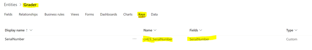 Capture_PowerAppsDataflow_GraderEntity_Keys.PNG