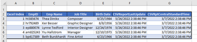 Excel Source Example 1 - All Dates