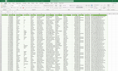 Example Excel Source Employee List