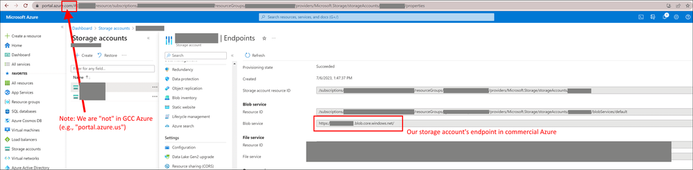 Azure_Storage_Account_Endpoints_Redacted.png