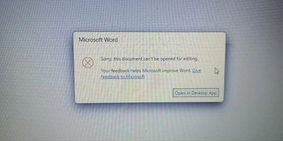 Docx File Error.jpeg