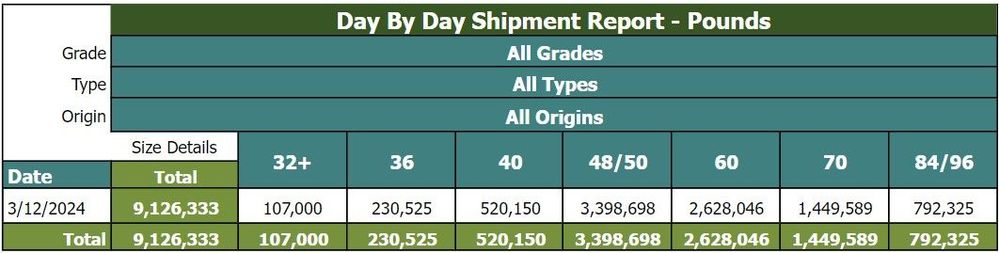 FULL SIZING (all columns)