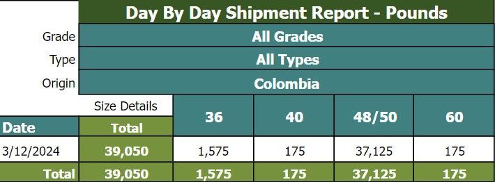 PARTIAL SIZING (not all columns)